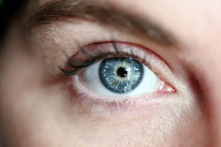 yeux bleus