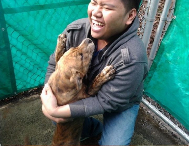 objectifs-adopter-chien