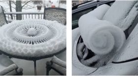 neige