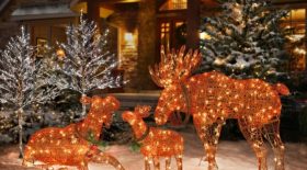 Noël