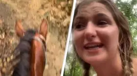 touriste perdue jungle mexicaine saoule