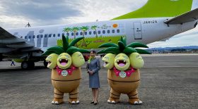 avion Pokémon