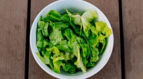 Salmonelle dans salade