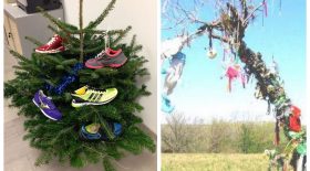 sapins noel moches
