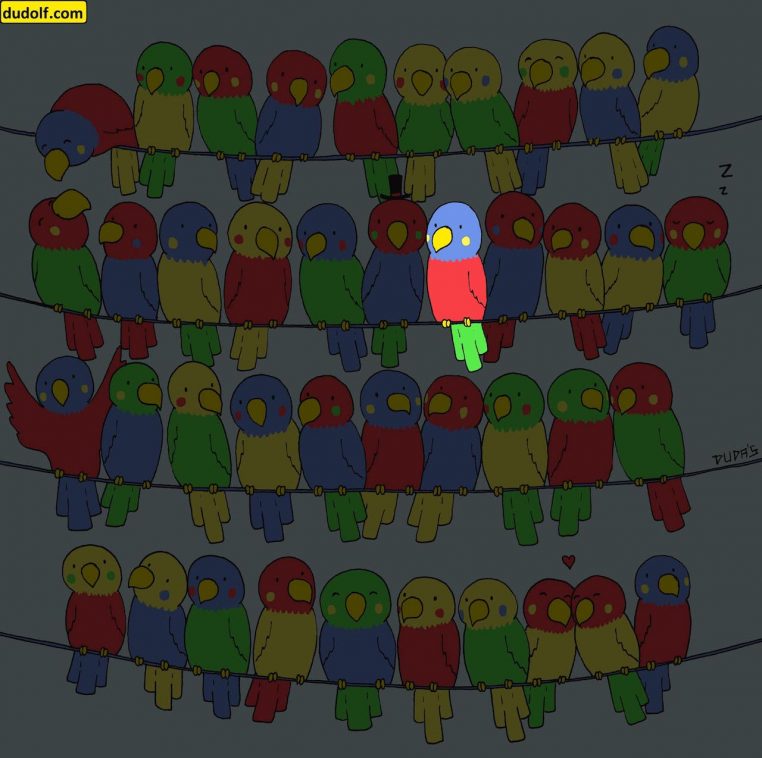 solution perroquet énigme