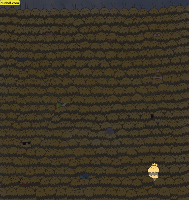 solution reine abeilles