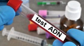test adn
