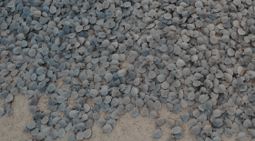 Tortues