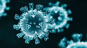 Virus