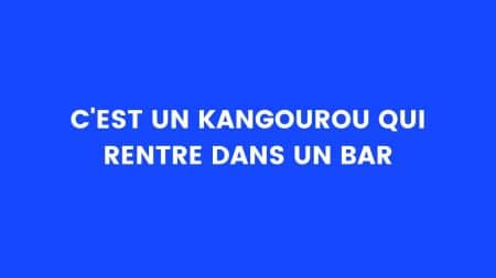 blague kangourou