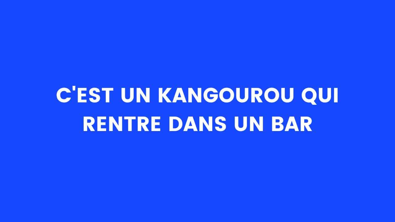 blague kangourou