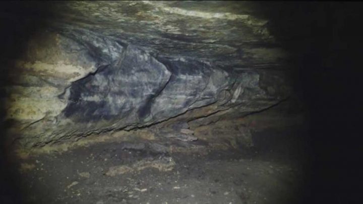 une cave à bière du 19e siècle découverte en sous-sol