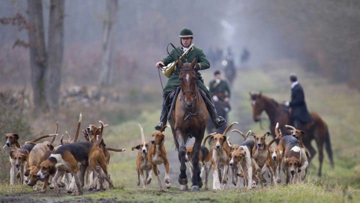 chasse-à-courre