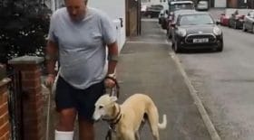 Son chien imite sa démarche en voyant qu'il a une cheville cassée