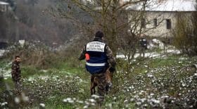 delphine jubillar recherches tarn
