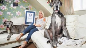 freddy le plus grand chien au monde est mort