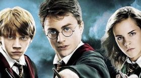 harry potter tf1 programme exceptionnel