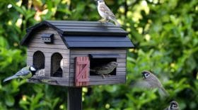 mangeoire oiseaux lidl