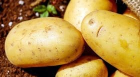 pommes-de-terre-lerreur-a-ne-plus-jamais-commettre-lors-de-la-cuisson