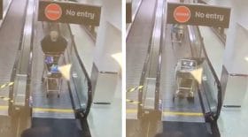 escalateur-accident