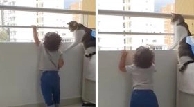 chat