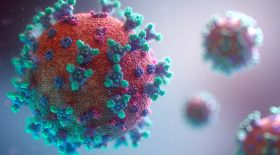coronavirus