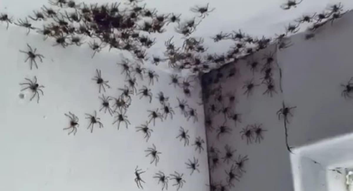 En rentrant dans sa chambre, elle fait une découverte... atroce