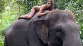 elle-pose-nue-sur-un-elephant-et-provoque-un-tolle-sur-toile
