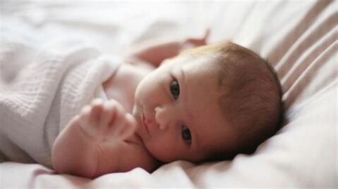 bébé-greffe-utérus