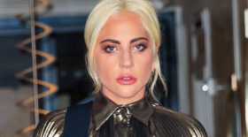 lady gaga chien 500 000 dollars
