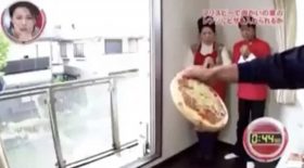 lance pizza frisbee microondes