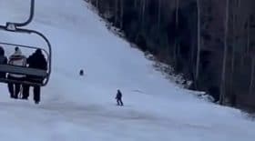 Ski ours