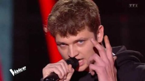 The voice