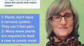 Tik Tok a banni une enseignante vegane