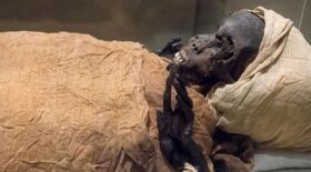 une-momie-de-3600-ans-livre-ses-secrets-sur-mort-du-pharaon-seqenenre-taa