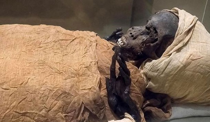une-momie-de-3600-ans-livre-ses-secrets-sur-mort-du-pharaon-seqenenre-taa