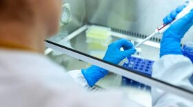 La recherche sur le RND (ADN) avance pour contrer la vieillese