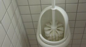 brosse toilettes