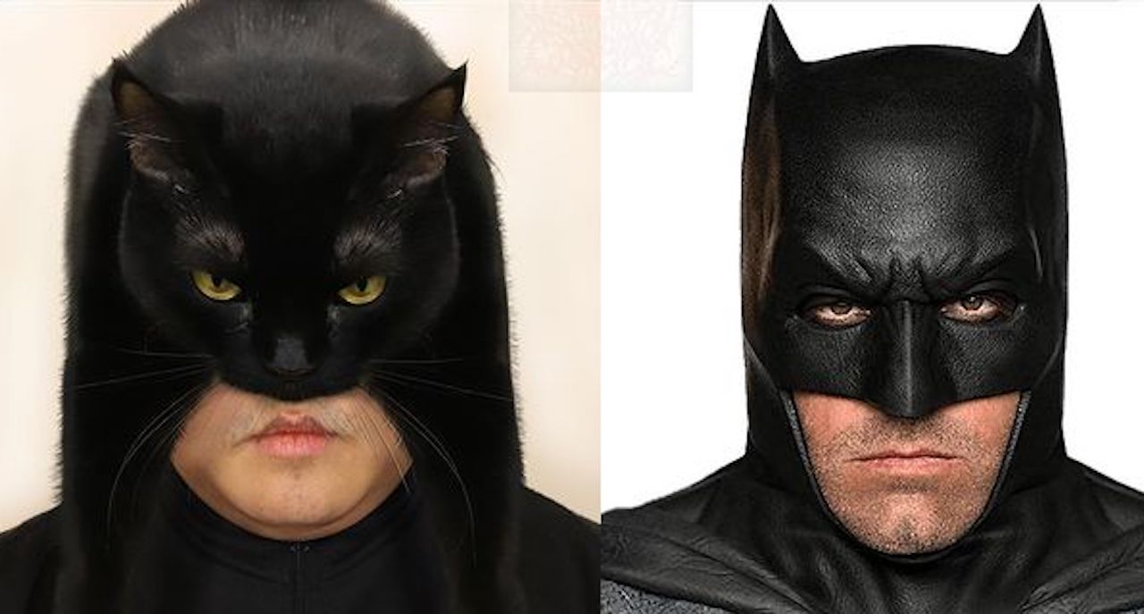 Chat Sur La Tete Aliments Decoupes Dessins Approximatifs Il Realise Des Cosplays Avec Les Moyens Du Bord Et Le Resultat Est Hilarant Chat Sur La Tete Aliments Decoupes Dessins Approximatifs Il Realise Des Cosplays Avec Les Moyens Du Bord Et Le Resultat Est Hilarant