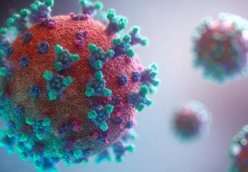 coronavirus en france