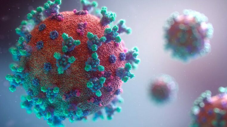 coronavirus en france