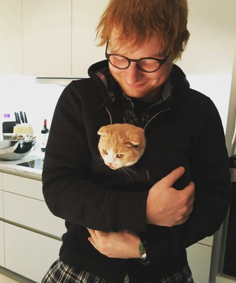 Ces stars posent avec leurs chats, les clichés sont adorables Page 3