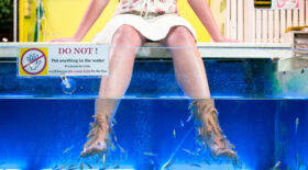 Fish Pedicure tourne mal