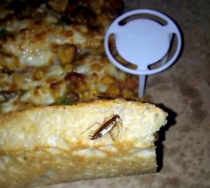insecte pizza