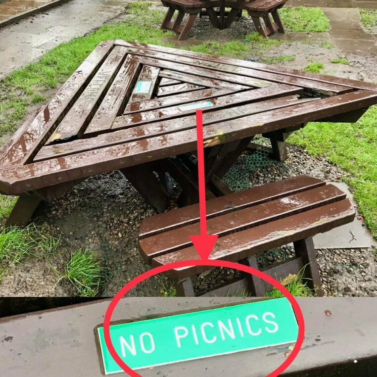 pique-nique-galerie-comportement-entreprise