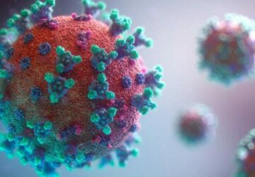 coronavirus en france