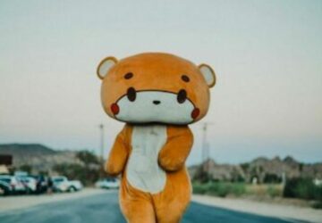 Ours en peluche