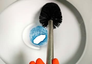 astuce nettoyer brosse WC