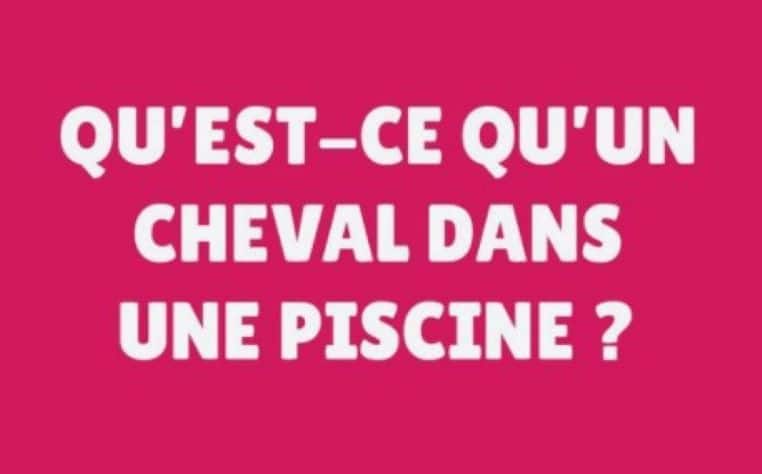 gallerie-blague-carambar-cheval