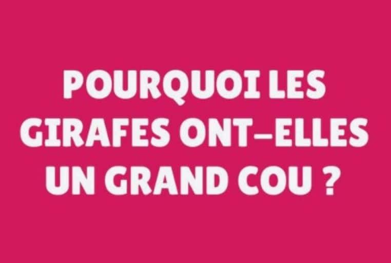 gallerie-blague-carambar-girafe